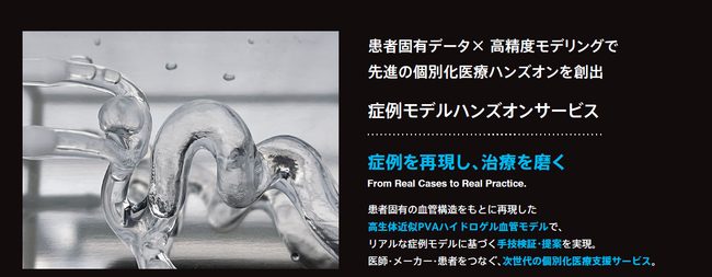 診断データから治療部位を再現する「症例モデルサービス」提供開始