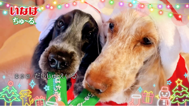 いなばペットフード　全国のわんちゃんが登場！「ちゅ～る」クリスマスTVCM動画を公開