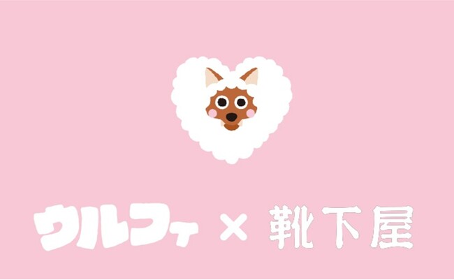 メ～テレのキャラクター「ウルフィ」×靴下屋のコラボ靴下、2025年12月5日（金）から東海３県の「靴下屋」12店舗で限定販売開始