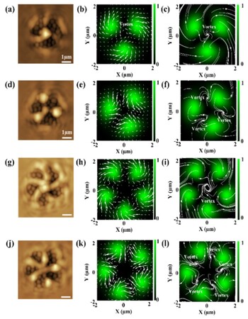 多数の光の渦を物質に転写して可視化することに成功！～物質中での渦の生成、消滅、操作の新展開～