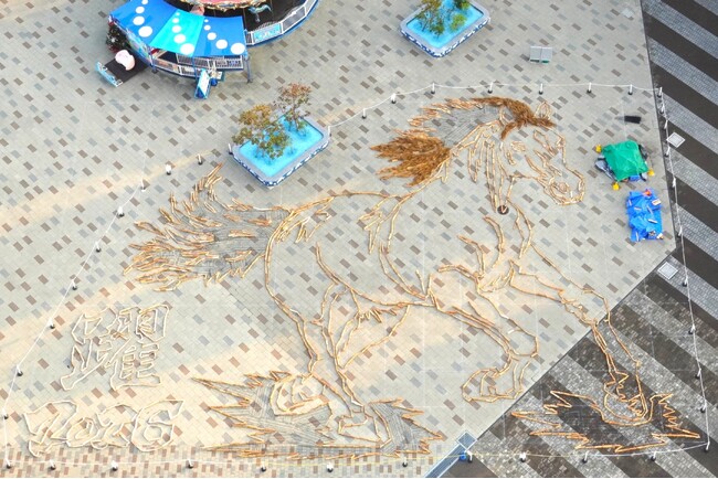 干支の巨大地上絵 制作中です(国営ひたち海浜公園)