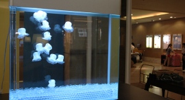 【山梨県限定】オフィス・医療・飲食店に“癒し”を。人工クラゲ水槽の無料導入相談を受付(〜1/25〈日〉)|想芸館 【山梨県限定】オフィス・医療・飲食店に“癒し”を。人工クラゲ水槽の無料導入相談を受付(〜1/25〈日〉)|想芸館