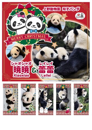 上野公園不忍池で「上野シタマチ CHRISTMAS」12/25まで開催中!
