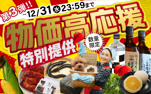 《１２月３１日まで》第３弾！物価高応援企画！ふるさと納税で生活者応援！【愛知県西尾市】