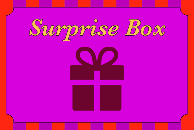 【MoMA Design Store】クリスマスに福袋を贈ろう！「2026 MoMAサプライズボックス」発売