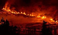 冬にしか見られない一面の銀世界　魚沼市のおすすめ冬のスノーアクティビティ3選