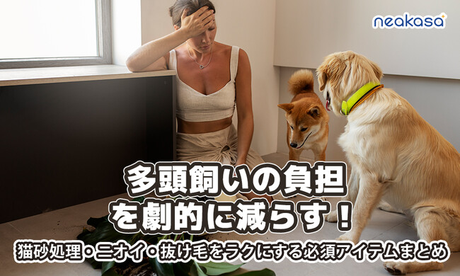 多頭飼い家庭必見！Neakasaの年に一度の特別セールが残り24時間に。人気ペット用品がセット購入で大幅割引