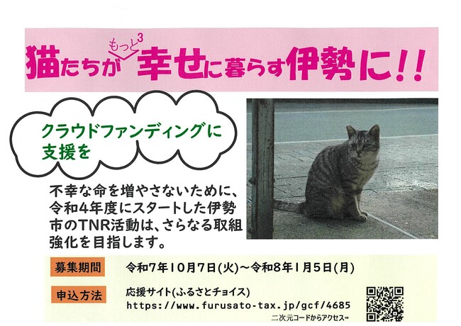 不幸な命をこれ以上増やさないために―伊勢市のTNR活動、猫の不妊去勢手術推進事業への寄附をお願いします