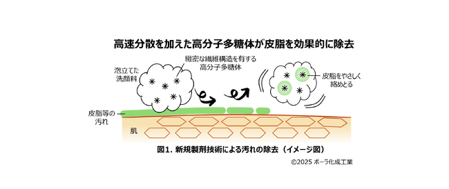 高速分散処理により繊維ネットワーク構造の微細化を実現