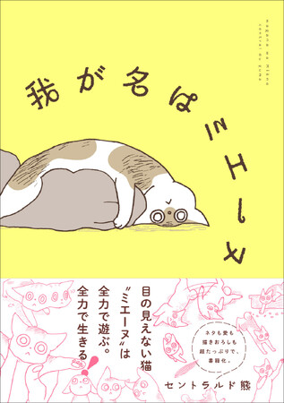 【発売前重版】羽海野チカさん推薦！目の見えない猫の全力日常マンガ『我が名はミエーヌ』書籍化！！