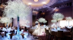 【訂正ニュースリリース】【光まとう洗練の新スタイル】光×かすみ草が披露宴会場全体を彩るベビーブレスジュビリーが誕生。誕生を記念したリアル体験フェアも開催。