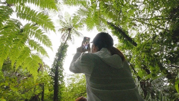 世界自然遺産登録5周年に向け奄美大島、徳之島、沖縄島北部、西表島のPR動画を公開(二次利用可)