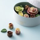 ロズレ・イヴェール ロズレ・イヴェール