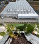 太陽光利用型植物工場 × 土耕栽培 太陽光利用型植物工場 × 土耕栽培