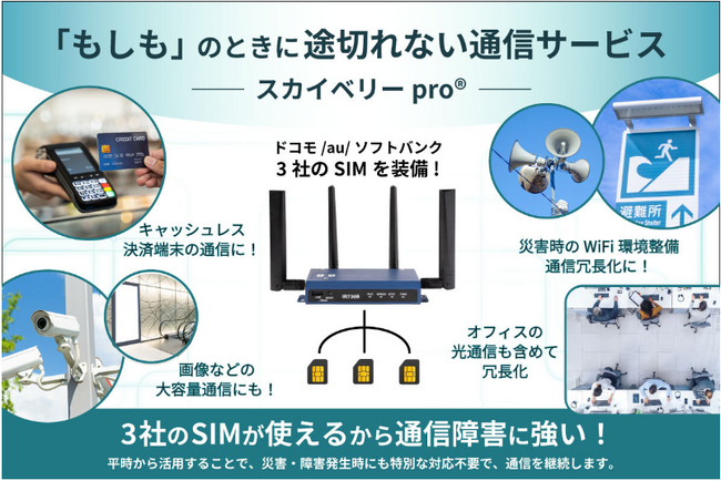 BCP通信の「スカイベリーpro(R)」のサイトが全面リニューアル！