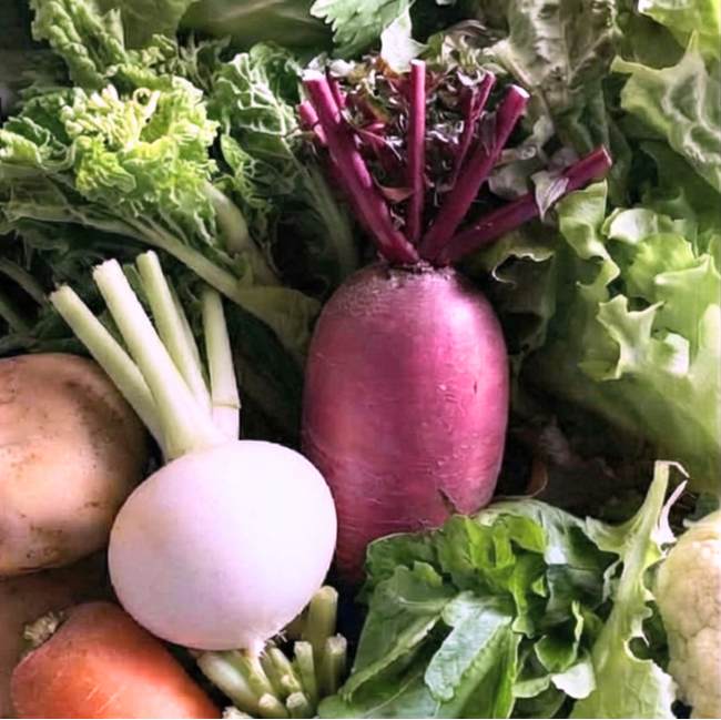 朝どれの衝撃。「ベジクル とれたて便」がスタート！