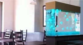 【栃木県限定】オフィス・医療・飲食店に“癒し”を。人工クラゲ水槽の無料導入相談を受付（〜1/30〈金〉）｜想芸館