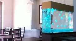 【栃木県限定】オフィス・医療・飲食店に“癒し”を。人工クラゲ水槽の無料導入相談を受付（〜1/30〈金〉）｜想芸館