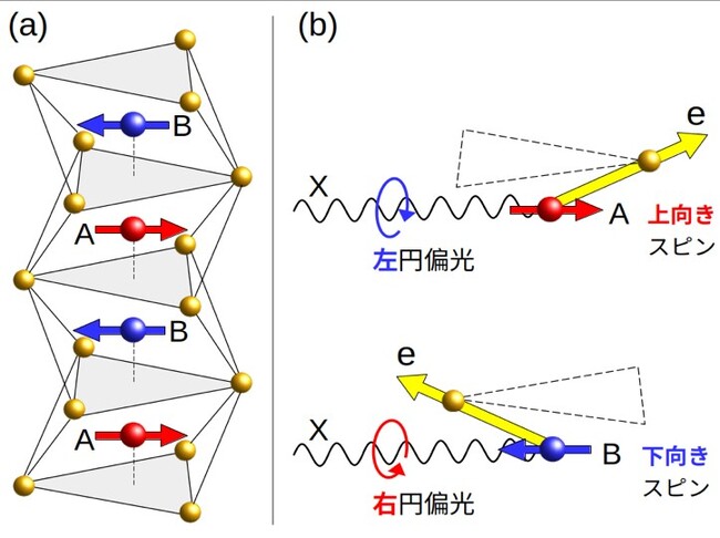 新型磁性体「交替磁性体」の磁気構造の新たな測定法を発見！～未来型電子材料で、高速・省エネメモリーの実現へ！～
