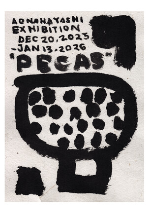 【京都岡崎 蔦屋書店】画家 林青那の個展「Pecas」を12/20(土)より開催