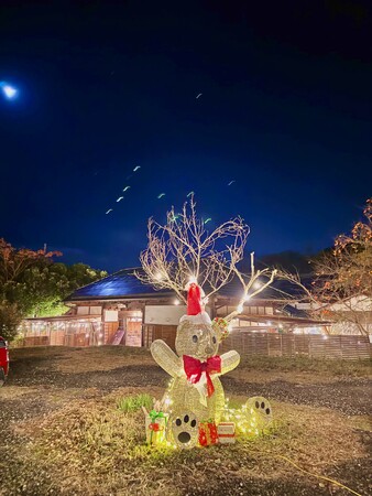 千葉　里山クリスマス 2025-2026｜クリスマス装飾とフォトスポットを展開！猫たちもクリスマスリボンでお出迎え、冬の特別イベントこたつみかんまつり同時開催