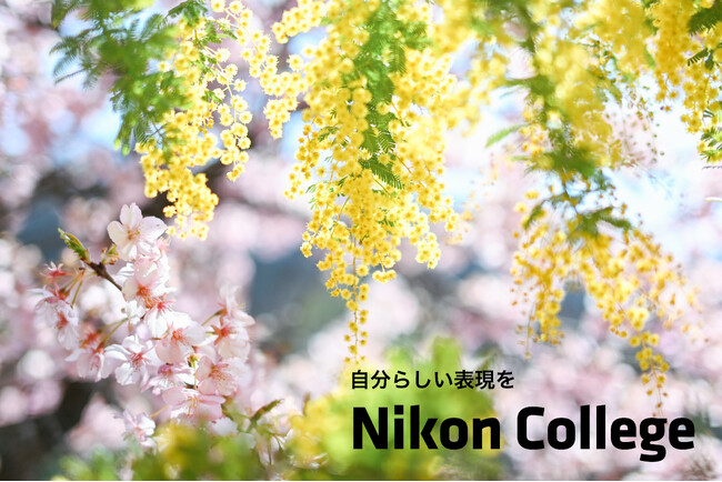 写真教室「ニコン カレッジ」 2026年1月~3月期の講座を公開