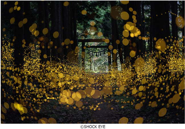 フジフイルム スクエア 企画写真展 SHOCK EYE写真展「和景讃歌」