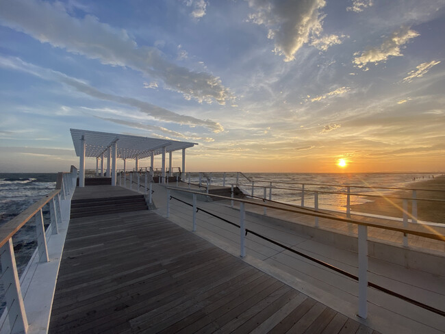 稲毛海浜公園、デジタルマップとSUNSET TIME カウントダウン機能を搭載した新ウェブサイトを公開