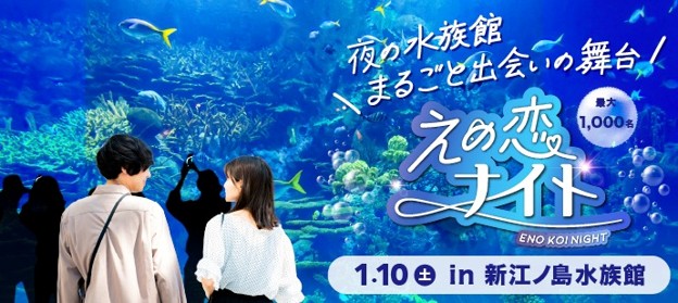ナイトアクアリウムで最大1,000名が出会う「夜の水族館まるごと出会いの舞台～えの恋ナイト～」2026年1月10日（土）開催
