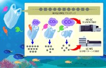 NITE 海洋生分解性プラスチックの微生物分解を見える化