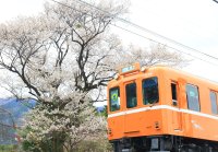 【養老鉄道】受験生応援 無料乗車キャンペーン