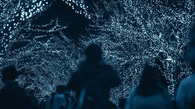夜の世界を光で彩るイルミネーションについて大調査！【1000人アンケート】