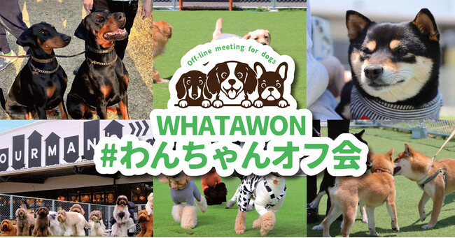 累計参加犬種30種以上、犬種別で楽しむ「わんちゃんオフ会」を定期開催【大阪・岸和田／WHATAWON】