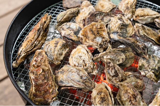 【兵庫県宍粟市】不漁でも妥協しない冬のごちそう体験！炭火焼き牡蠣＆カキフライ90分食べ放題＆グランピングで冬を満喫。〈ウッドデザインパーク与位〉
