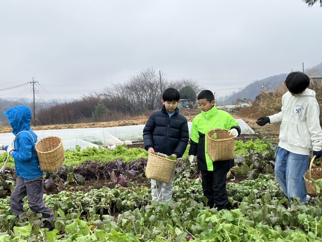 山梨ジュニアアンバサダープログラム2日目！畑から食卓へ。体験を通じて実感する山梨の魅力