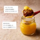 風味豊かな丹波栗とねっとり濃厚な蜜芋 風味豊かな丹波栗とねっとり濃厚な蜜芋