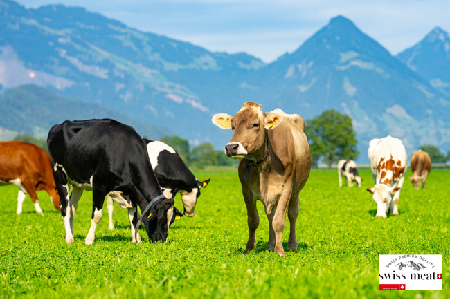 swiss meat、日本市場に向けた2026年の戦略計画を発表