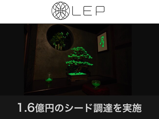 【資金調達】光る植物で持続可能な未来を照らすLEP、シードラウンドで1.6億円の資金調達を実施
