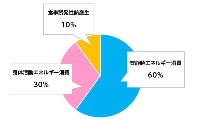 活動量が減る冬こそ、動かない「おうち時間」のエネルギー消費に注目！キーワードは「安静時エネルギー消費量の向上」短鎖脂肪酸を生み出しやすい食生活で、無理せず太りにくいカラダづくりを目指そう