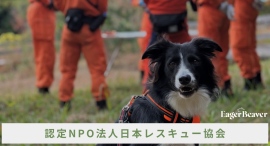 大学生ブランドEagerBeaver、日本レスキュー協会と初コラボ‼️災害救助犬・セラピードッグの育成支援に寄付つきアパレルを限定発売‼️