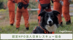 大学生ブランドEagerBeaver、日本レスキュー協会と初コラボ‼️災害救助犬・セラピードッグの育成支援に寄付つきアパレルを限定発売‼️