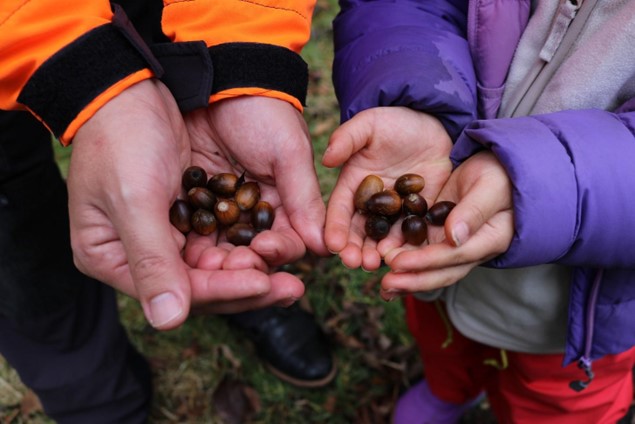 【LINEヤフー】持続可能な未来に向け、田島山業の「みんなの森」で九州地方初の「戻り苗」を活用したプロジェクトや生物調査を実施
