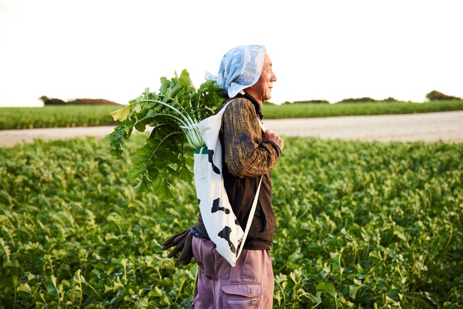 抜群の安定感！「三浦大根BAG」で伝統野菜・三浦大根命名100周年を祝う～三浦野菜デザインプロジェクト～　ファッションデザイナー高島一精氏デザイン　数量限定で12月24日発売開始！