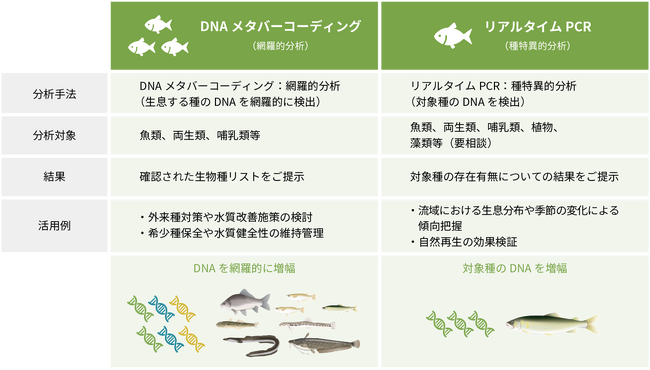 ワンストップで高品質、“環境DNA分析サービス”紹介ページをリニューアル