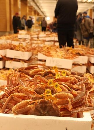 三国港（福井県坂井市）年末「歳の市」は、12月28日