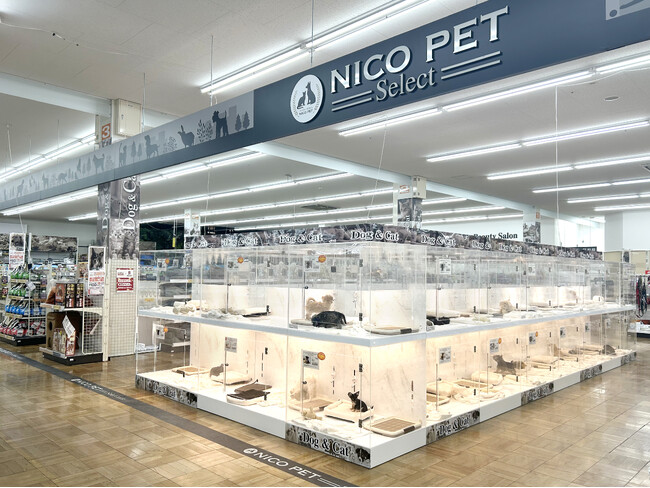 P’s-first岩槻店オープンのお知らせ