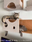 展示作品：ニッカとカクニ