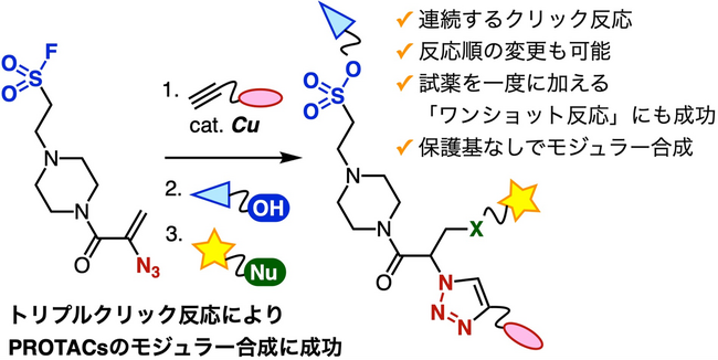 連続クリック反応でPROTACの効率的合成に成功 ～3種類の機能性分子の迅速な集積を実証、創薬研究の加速に期待～