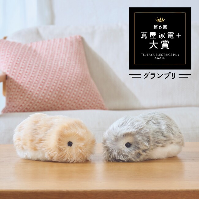【二子玉川 蔦屋家電】AIカメラの画像解析と来店客コメントを集計し選ばれた、“来店客の注目度”を最も集めたプロダクトとは？ 第6回「蔦屋家電＋ 大賞」を発表