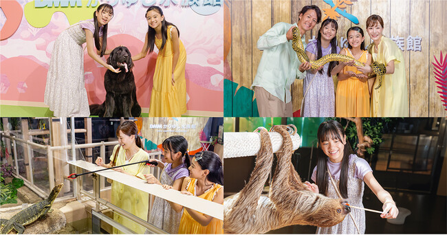 【DMMかりゆし水族館】沖縄県民向け『県民割』12月20日（土）～1月3日（土）まで開催！